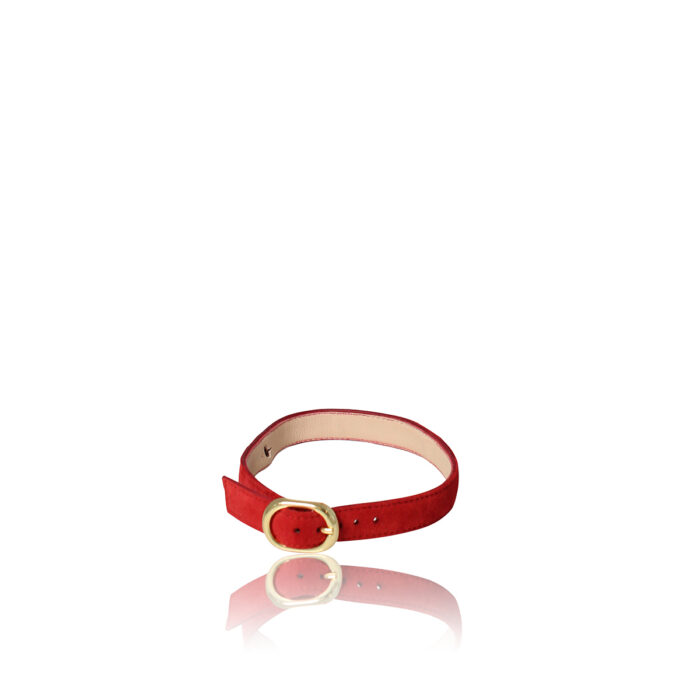 Purchase Red Shoe Removable Strap